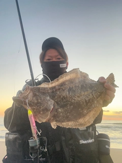 ヒラメの釣果