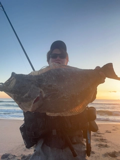 ヒラメの釣果