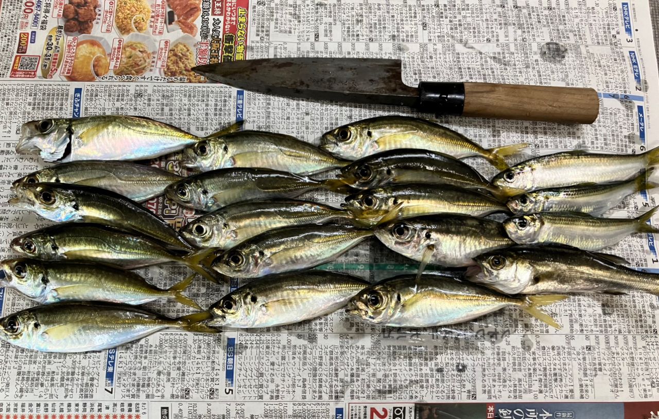 No Bite, No Fishさんの2026年10月23日(金)の釣行(三重県 - 鈴鹿川河口) - アングラーズ | 釣果600万件の ...