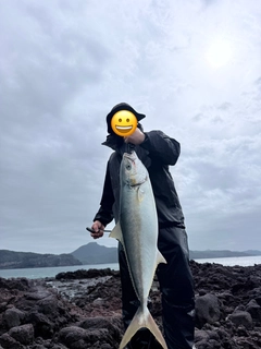 ヒラマサの釣果