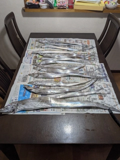 タチウオの釣果