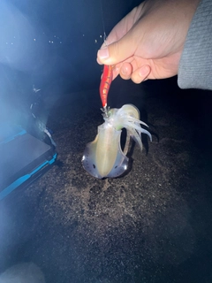 釣果
