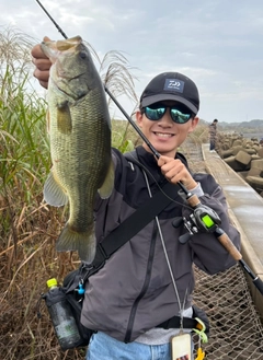 ラージマウスバスの釣果