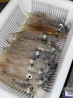 釣果
