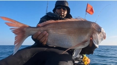 タイの釣果