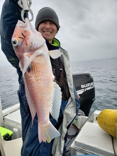 アマダイの釣果