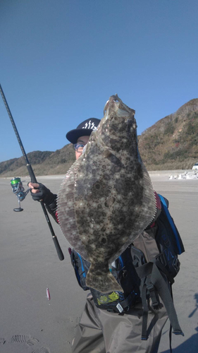 ソゲの釣果