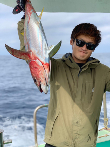 キハダマグロの釣果