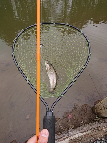 釣果