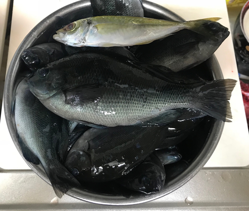 釣果