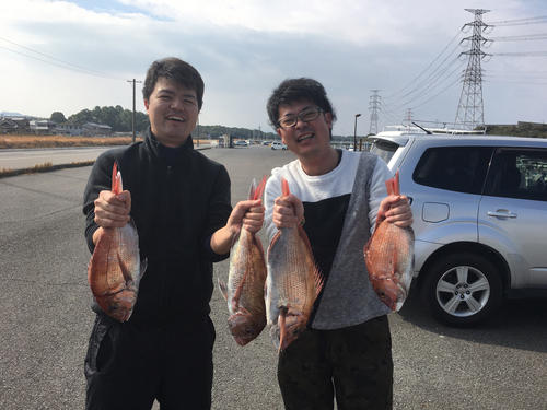 マダイの釣果