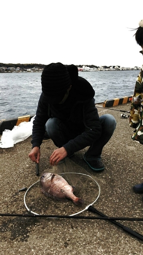 タイの釣果