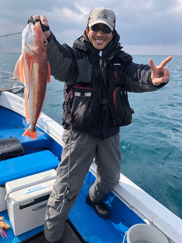 ホウボウの釣果