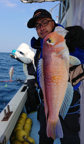 アマダイの釣果