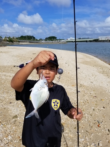 ガーラの釣果