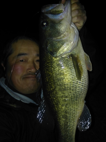 ラージマウスバスの釣果