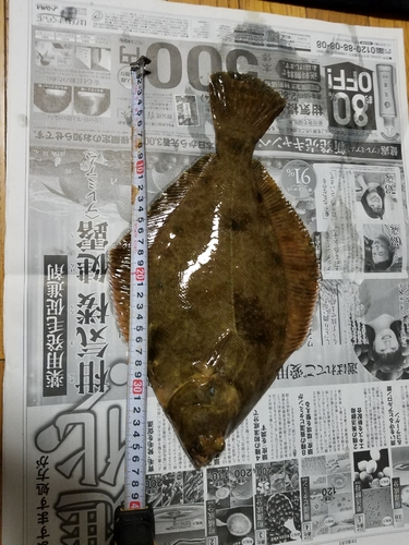 釣果