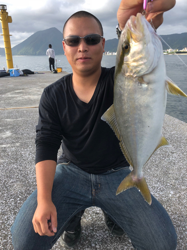 カンパチの釣果