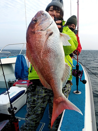 マダイの釣果