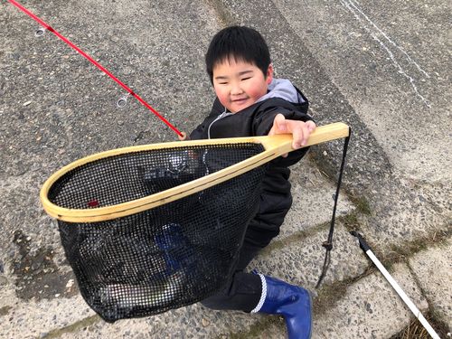 レインボートラウトの釣果