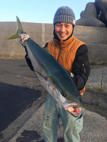 ブリの釣果