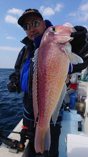 アマダイの釣果