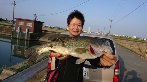 ブラックバスの釣果