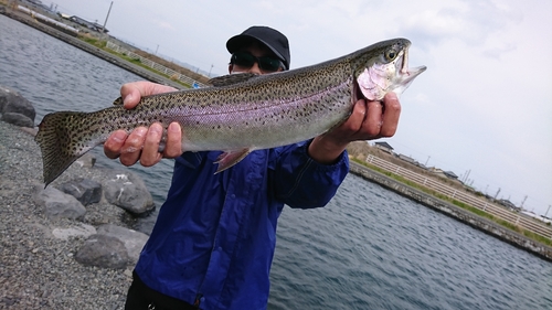 ニジマスの釣果