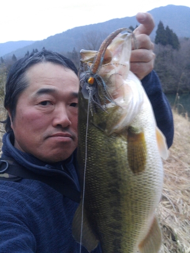 ラージマウスバスの釣果