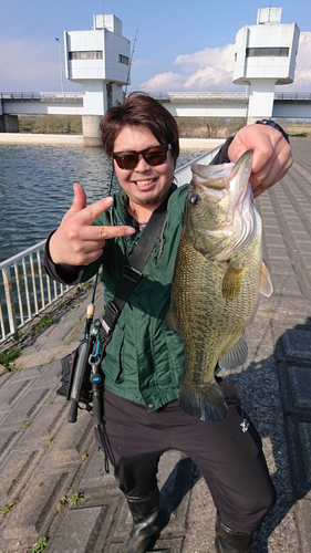 ブラックバスの釣果