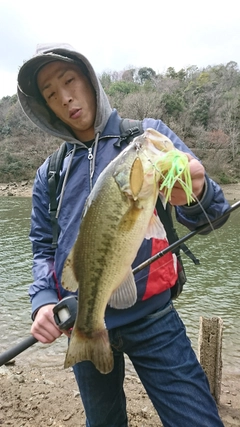 ブラックバスの釣果