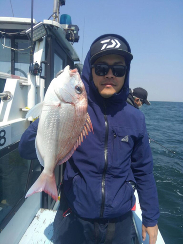 チダイの釣果