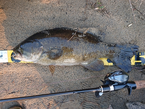 釣果