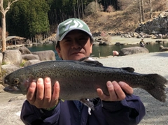 ヤシオマスの釣果