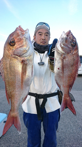 マダイの釣果