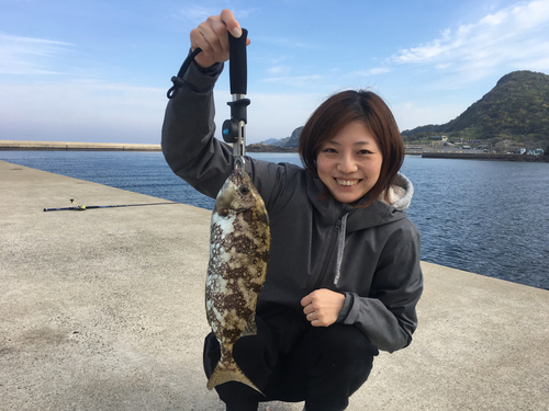 アイゴの釣果