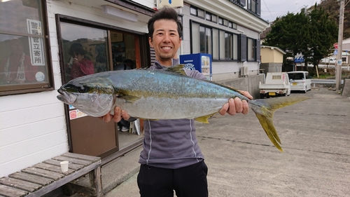 ヒラマサの釣果