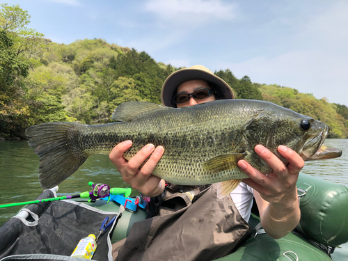 ブラックバスの釣果