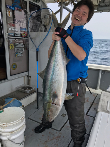 ブリの釣果