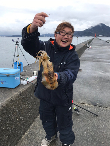 アオリイカの釣果