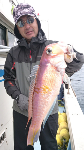 アマダイの釣果