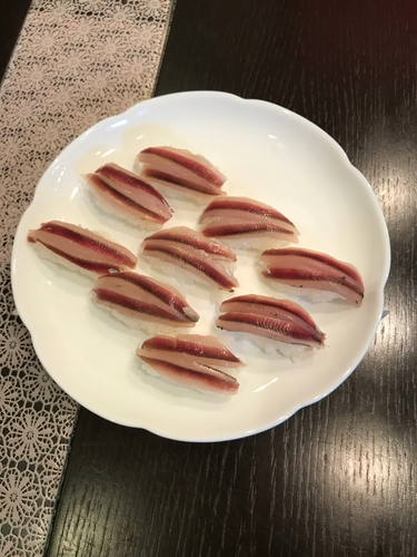 カタクチイワシの釣果