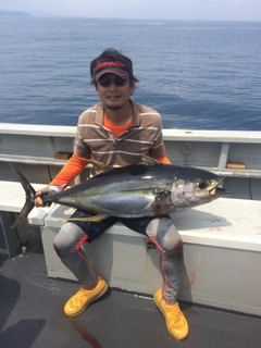 キハダマグロの釣果