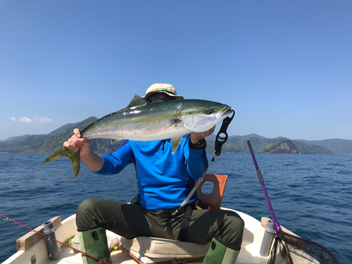 メジロの釣果