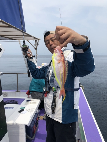 イトヨリダイの釣果