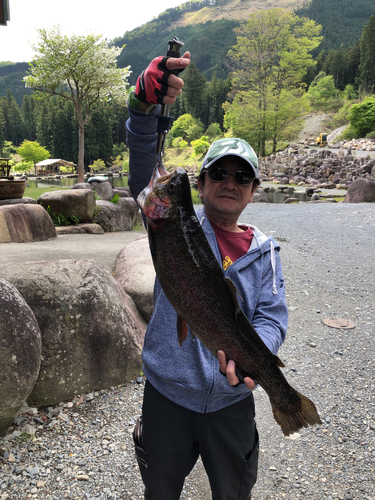 ヤシオマスの釣果