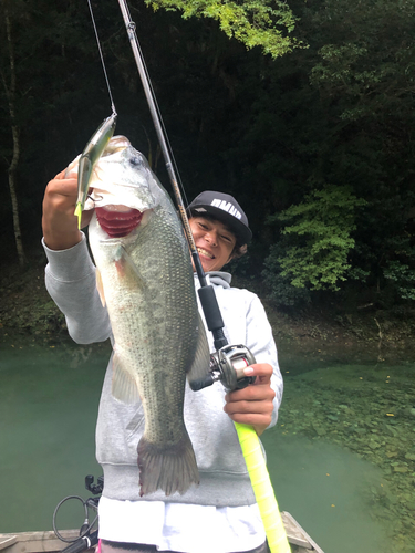 ブラックバスの釣果