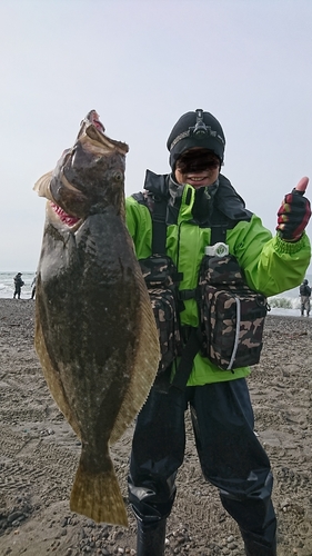 ヒラメの釣果