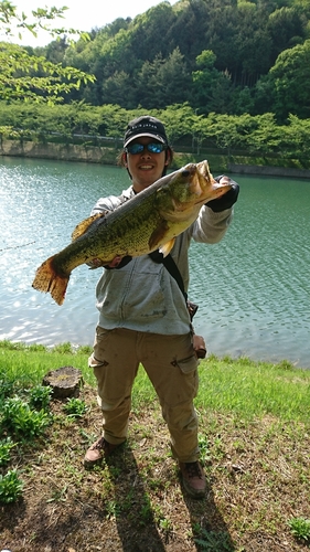 ブラックバスの釣果