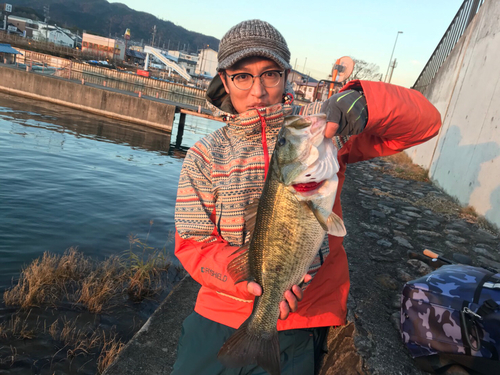 ブラックバスの釣果